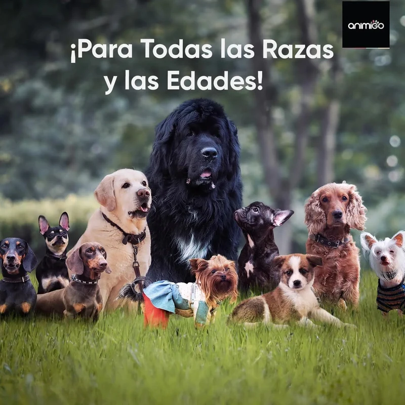 Calmante para cães - 120 cápsulas anti-stress, sem sabor - tranquilizante natural, para cães e cachorros, com vitamina B1 e magnésio relaxante e alívio para a ansiedade