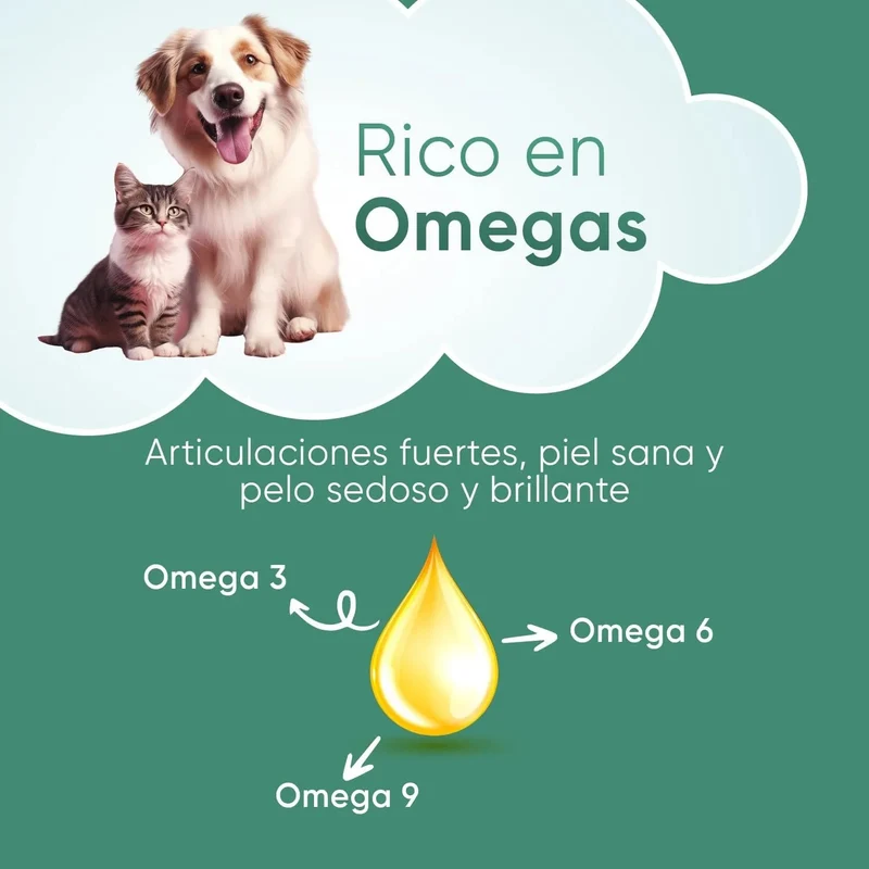 Óleo de cânhamo 100 % puro para cães e gatos 60 ml, calmante e anti-stress, ômega 3, 6 e 9, melhora o sono e cuida das suas articulações, pele e pêlo, sem sabor