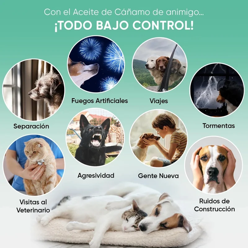 Óleo de cânhamo 100 % puro para cães e gatos 60 ml, calmante e anti-stress, ômega 3, 6 e 9, melhora o sono e cuida das suas articulações, pele e pêlo, sem sabor