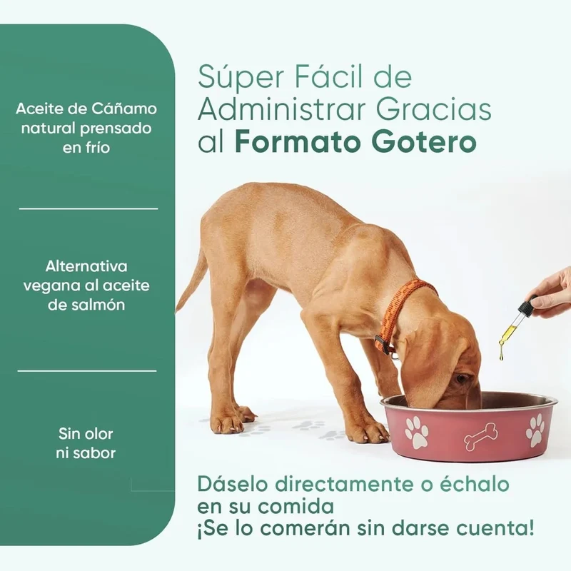 Óleo de cânhamo 100 % puro para cães e gatos 60 ml, calmante e anti-stress, ômega 3, 6 e 9, melhora o sono e cuida das suas articulações, pele e pêlo, sem sabor