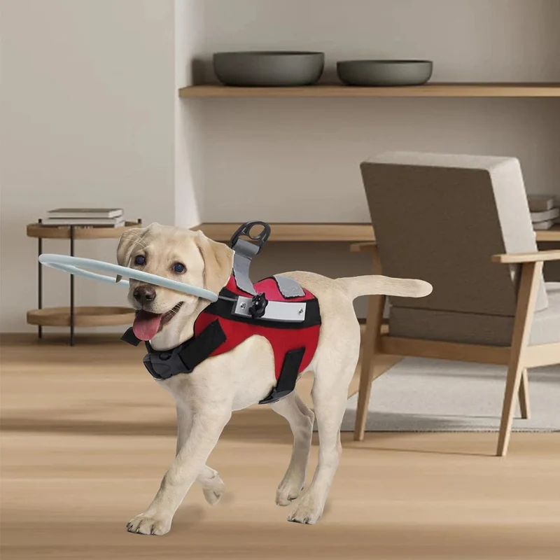 Arnês para Cães Cegos - Arnês para para cães com má visão ou cegos - círculo anticolisão para andar ao ar livre ou em casa