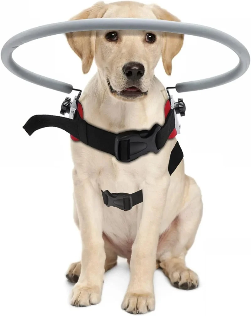 Arnês para Cães Cegos - Arnês para para cães com má visão ou cegos - círculo anticolisão para andar ao ar livre ou em casa