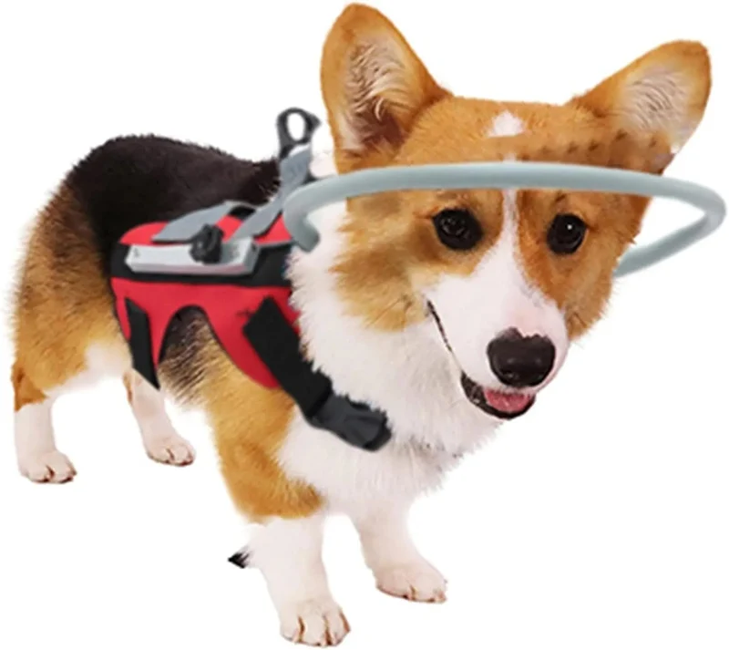 Arnês para Cães Cegos - Arnês para para cães com má visão ou cegos - círculo anticolisão para andar ao ar livre ou em casa
