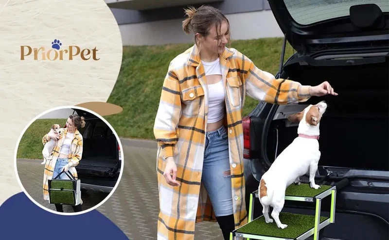 Escada para cães pequenos e grandes - superfície de relva artificial antiderrapante - Adequado para todos os carros - 4 degraus