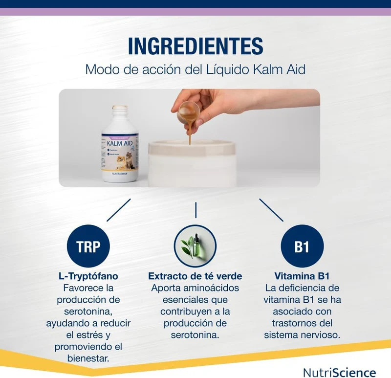 Kalm Aid Cat Gel - Complemento calmante líquido para cães e gatos, 250 ml