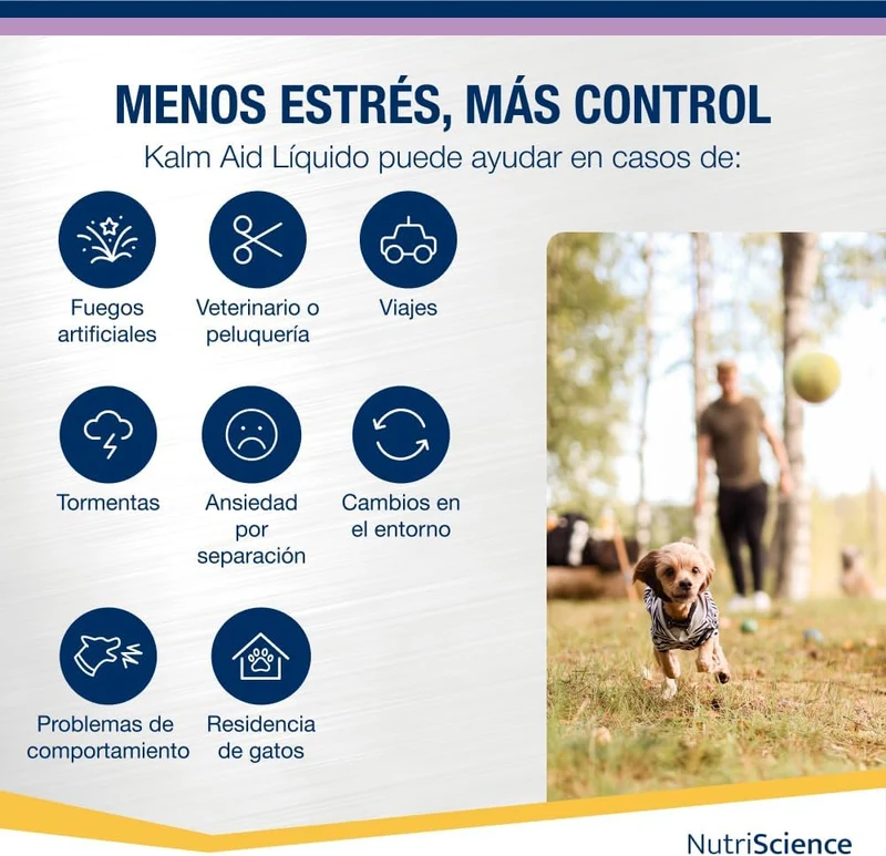 Kalm Aid Cat Gel - Complemento calmante líquido para cães e gatos, 250 ml