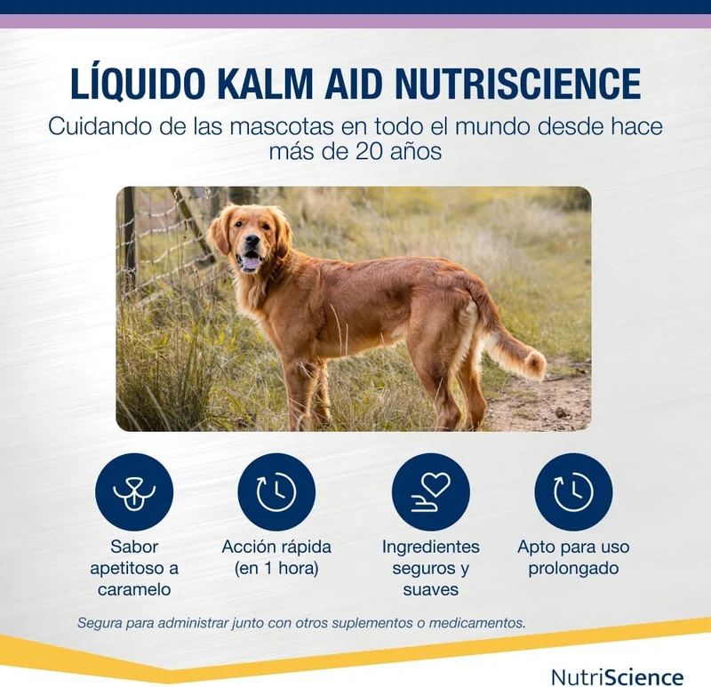 Kalm Aid Cat Gel - Complemento calmante líquido para cães e gatos, 250 ml