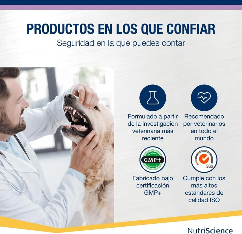 Kalm Aid Cat Gel - Complemento calmante líquido para cães e gatos, 250 ml