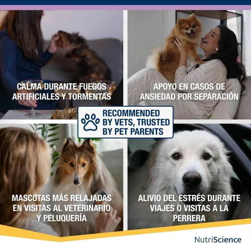 Kalm Aid Cat Gel - Complemento calmante líquido para cães e gatos, 250 ml