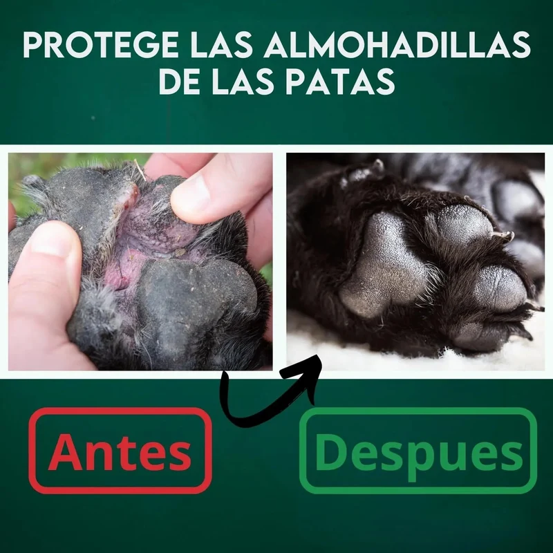 Bálsamo para as Almofadas das Patas, para cão, natural 100 ml, para almofadas secas, irritadas e queimadas, hidrata e repara