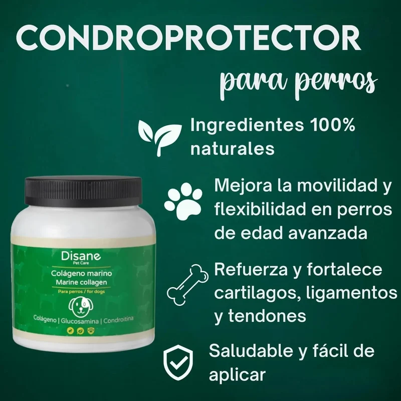 DISANE Condroprotetor para cães | Condoprotetor para cães natural para o cuidado das articulações dos cães, protege e restaura ossos, com colagénio marinho