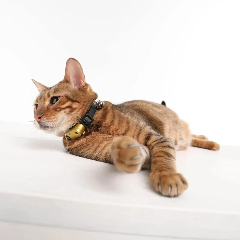 Tickless Cat Gold - Repelente Ultrasónico de Carraças e Pulgas - Para Gatos - Recarregável