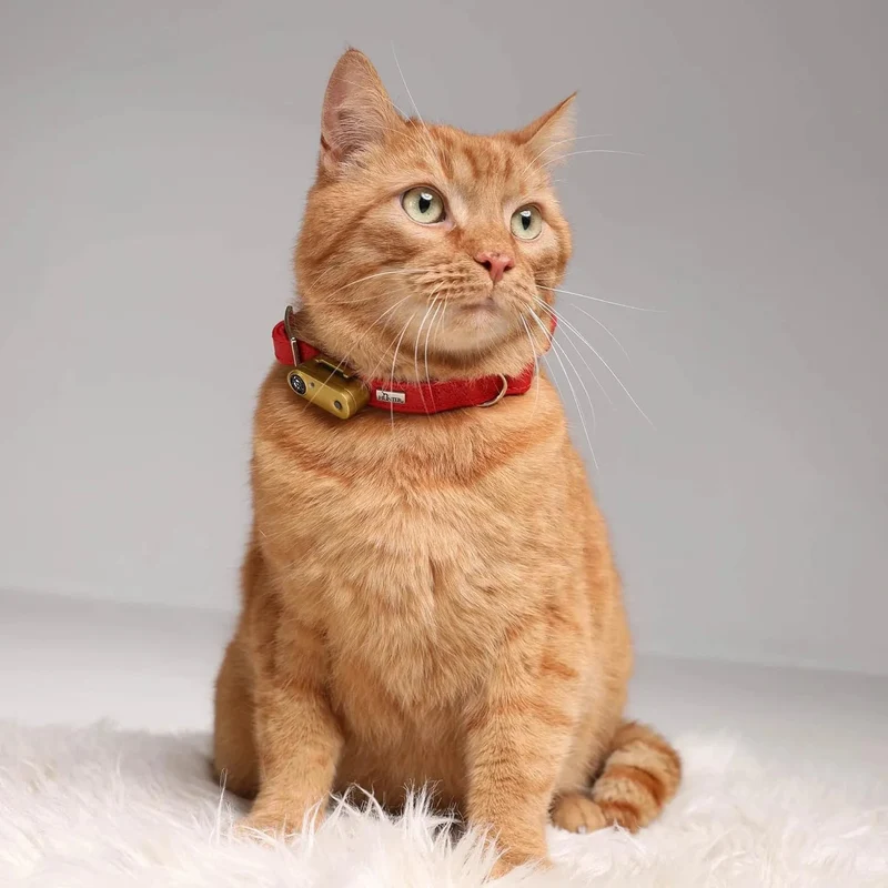 Tickless Cat Gold - Repelente Ultrasónico de Carraças e Pulgas - Para Gatos - Recarregável