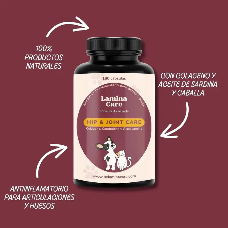 Condoprotetor para cães com glucosamina, Condritiona, colageno e mexilhão lábios verdes - 180 cápsulas, anti-inflamatório 100% natural - Fortalece articulações e anca