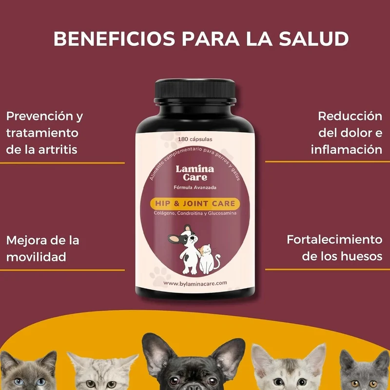 Condoprotetor para cães com glucosamina, Condritiona, colageno e mexilhão lábios verdes - 180 cápsulas, anti-inflamatório 100% natural - Fortalece articulações e anca