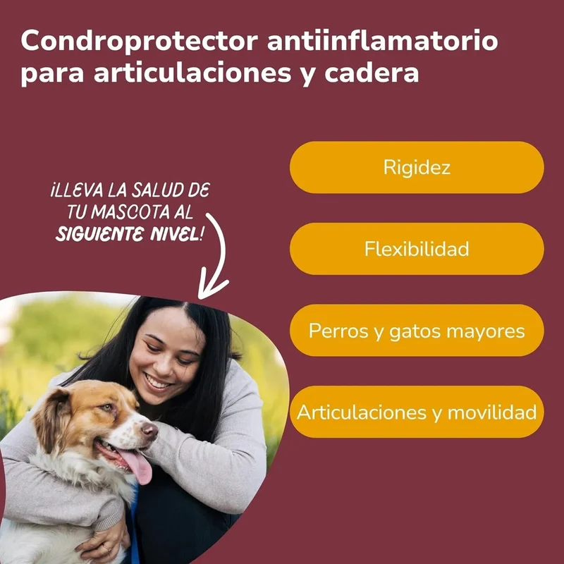 Condoprotetor para cães com glucosamina, Condritiona, colageno e mexilhão lábios verdes - 180 cápsulas, anti-inflamatório 100% natural - Fortalece articulações e anca