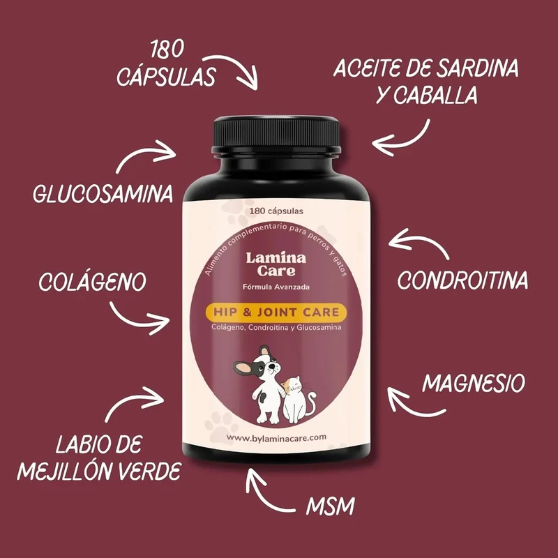 Condoprotetor para cães com glucosamina, Condritiona, colageno e mexilhão lábios verdes - 180 cápsulas, anti-inflamatório 100% natural - Fortalece articulações e anca