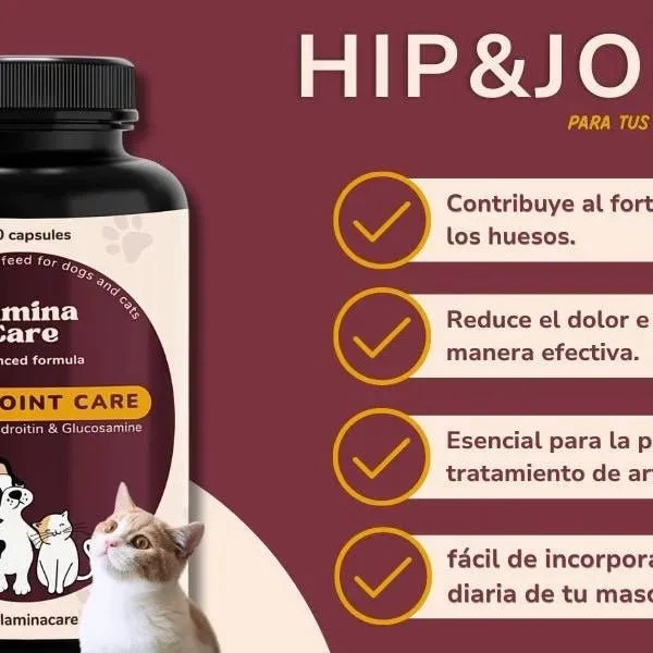 Condoprotetor para cães com glucosamina, Condritiona, colageno e mexilhão lábios verdes - 180 cápsulas, anti-inflamatório 100% natural - Fortalece articulações e anca