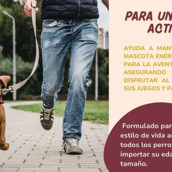 Condoprotetor para cães com glucosamina, Condritiona, colageno e mexilhão lábios verdes - 180 cápsulas, anti-inflamatório 100% natural - Fortalece articulações e anca