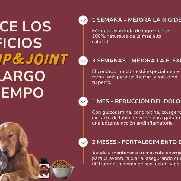 Condoprotetor para cães com glucosamina, Condritiona, colageno e mexilhão lábios verdes - 180 cápsulas, anti-inflamatório 100% natural - Fortalece articulações e anca