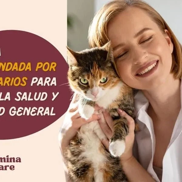 Condoprotetor para cães com glucosamina, Condritiona, colageno e mexilhão lábios verdes - 180 cápsulas, anti-inflamatório 100% natural - Fortalece articulações e anca