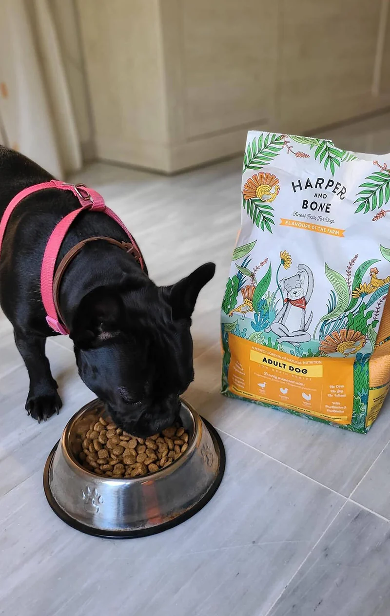 Adult dog - Flavours of the farm