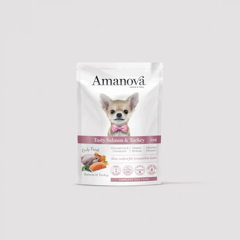 P06 Adult Dog
