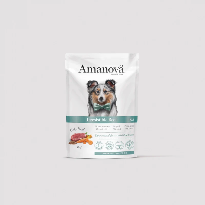P02 Adult Dog