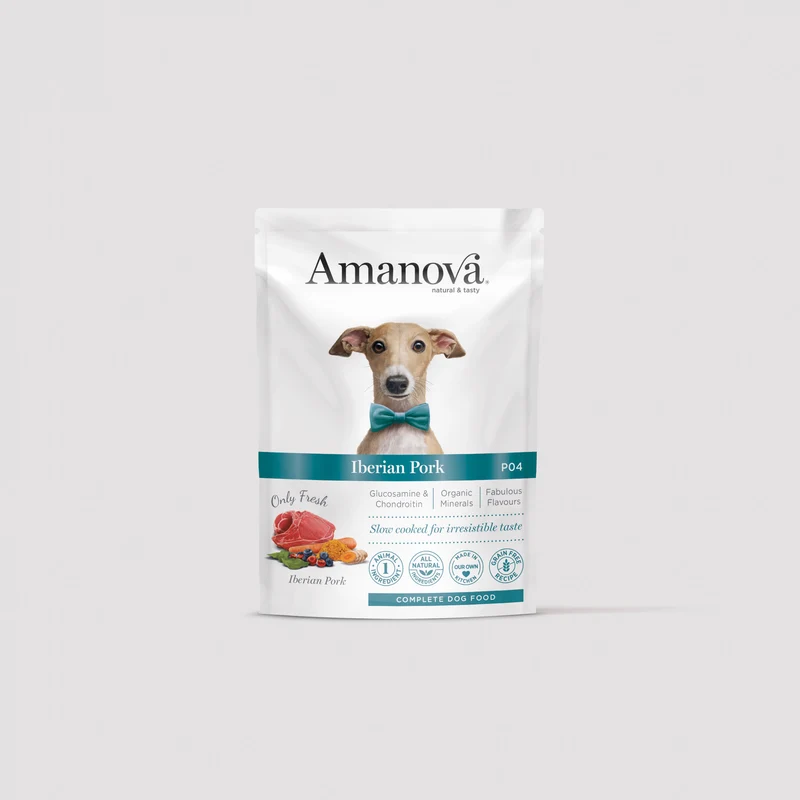 P04 Adult Dog
