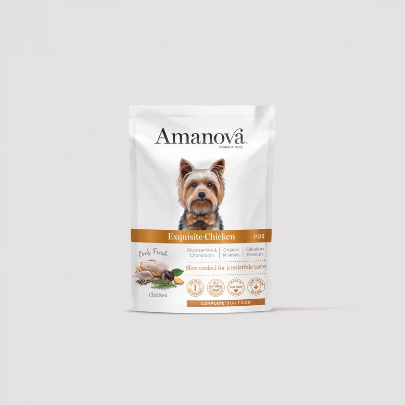 P03 Adult Dog