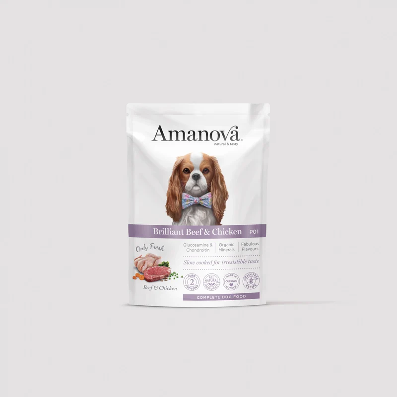 P01 Adult Dog