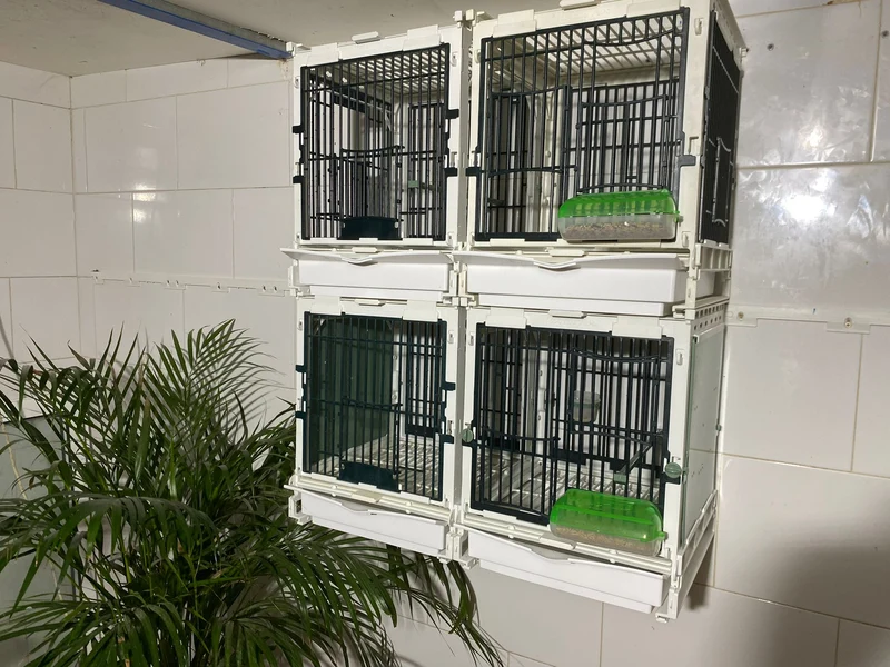Modell SG1, Käfigmodul - MA Cage - Moldes Ave