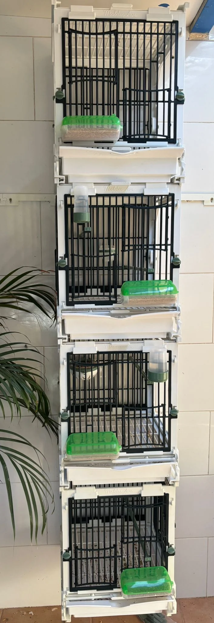 Modell SG1, Käfigmodul - MA Cage - Moldes Ave