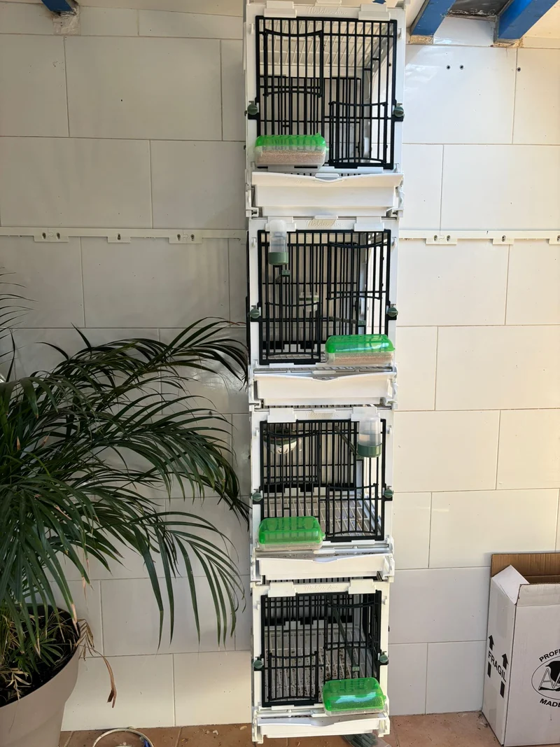 Modell SG1, Käfigmodul - MA Cage - Moldes Ave
