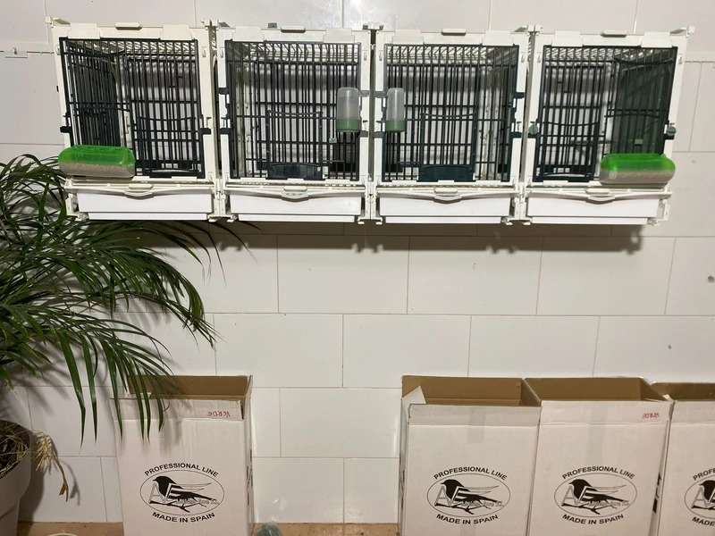 Modell SG1, Käfigmodul - MA Cage - Moldes Ave