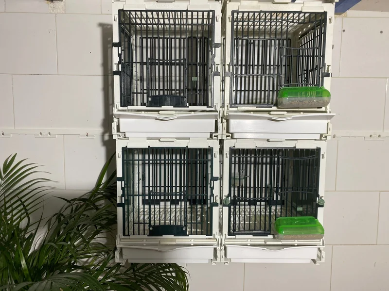 Modell SG1, Käfigmodul - MA Cage - Moldes Ave
