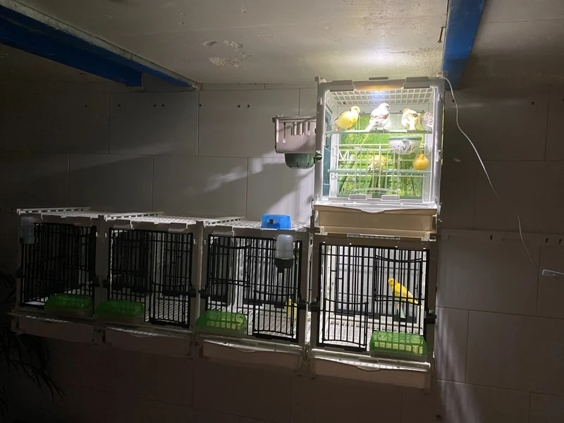 Modell SG1, Käfigmodul - MA Cage - Moldes Ave
