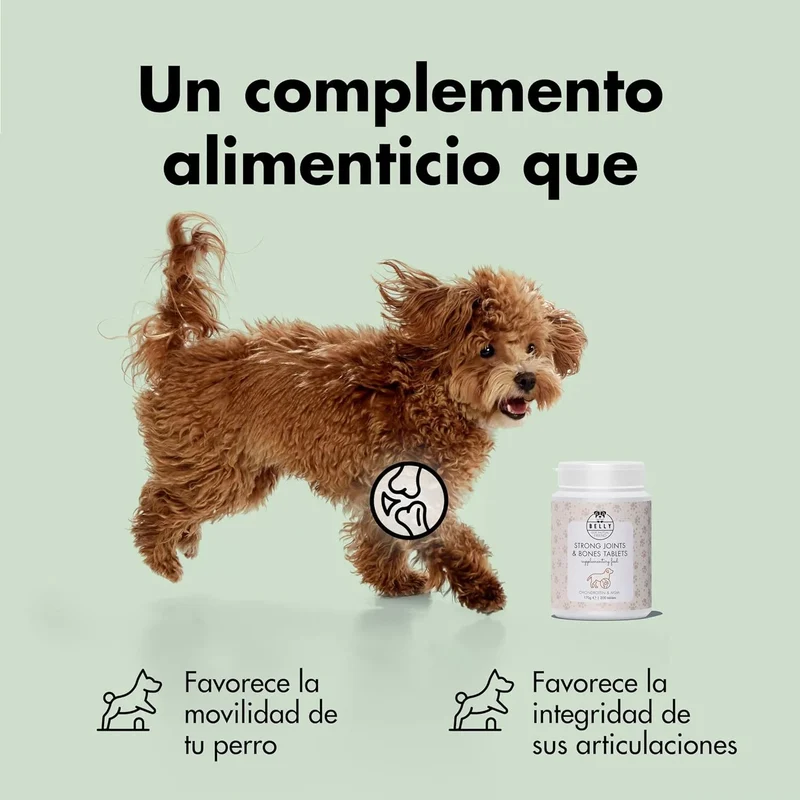 Condroprotetor comprimidos para cães grandes e pequenos com glucosamina e MSM, fortalece os ossos e as articulações, 200 cápsulas com sabor a frango - Belly®