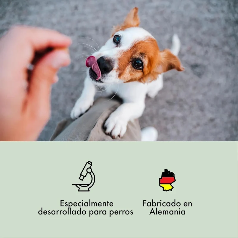 Condroprotetor comprimidos para cães grandes e pequenos com glucosamina e MSM, fortalece os ossos e as articulações, 200 cápsulas com sabor a frango - Belly®
