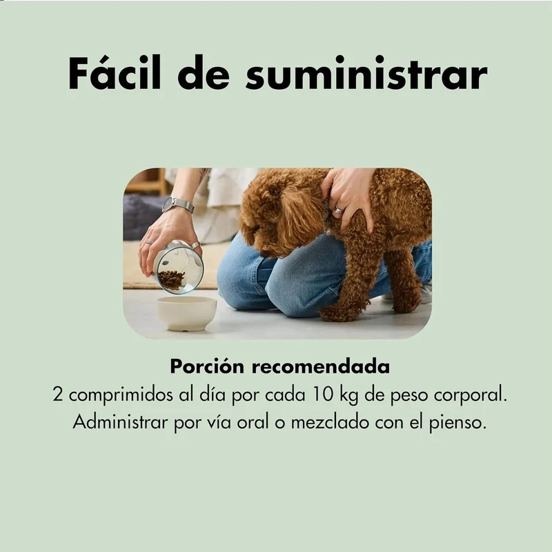 Condroprotetor comprimidos para cães grandes e pequenos com glucosamina e MSM, fortalece os ossos e as articulações, 200 cápsulas com sabor a frango - Belly®