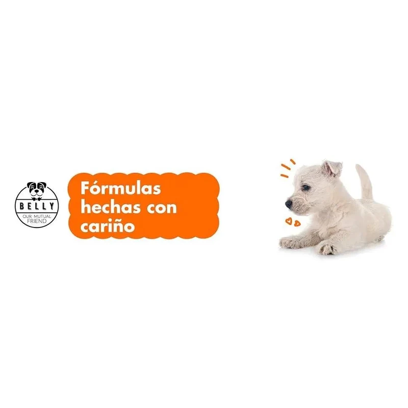 Condroprotetor comprimidos para cães grandes e pequenos com glucosamina e MSM, fortalece os ossos e as articulações, 200 cápsulas com sabor a frango - Belly®