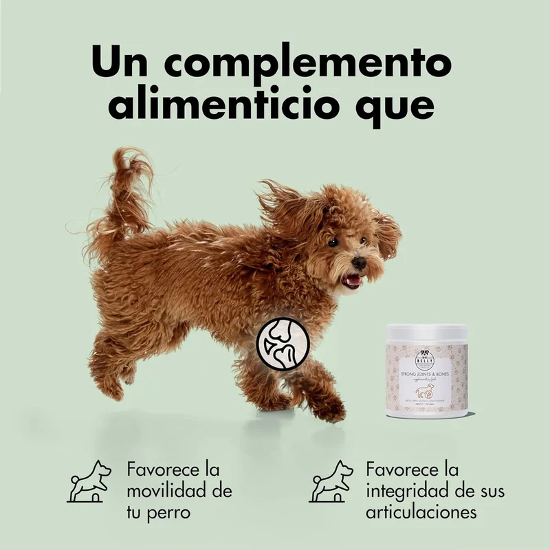 Condroprotetor de glucosamina e MSM, fortalece os ossos e as articulações, 100 unidades com sabor a frango - 1 unidade diária (Belly®)