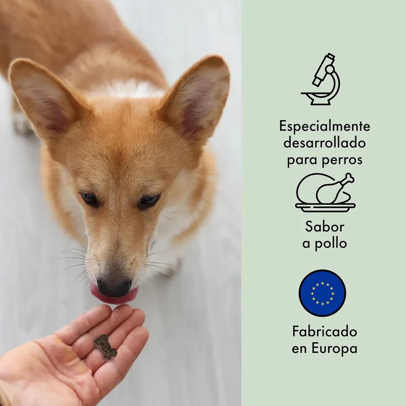 Condroprotetor de glucosamina e MSM, fortalece os ossos e as articulações, 100 unidades com sabor a frango - 1 unidade diária (Belly®)