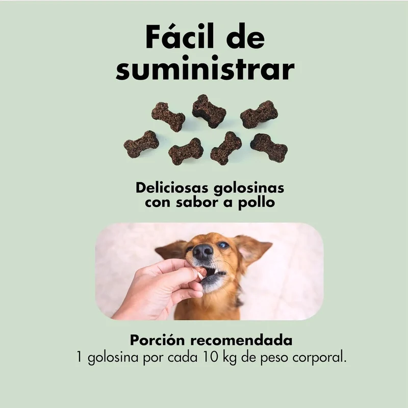 Condroprotetor de glucosamina e MSM, fortalece os ossos e as articulações, 100 unidades com sabor a frango - 1 unidade diária (Belly®)
