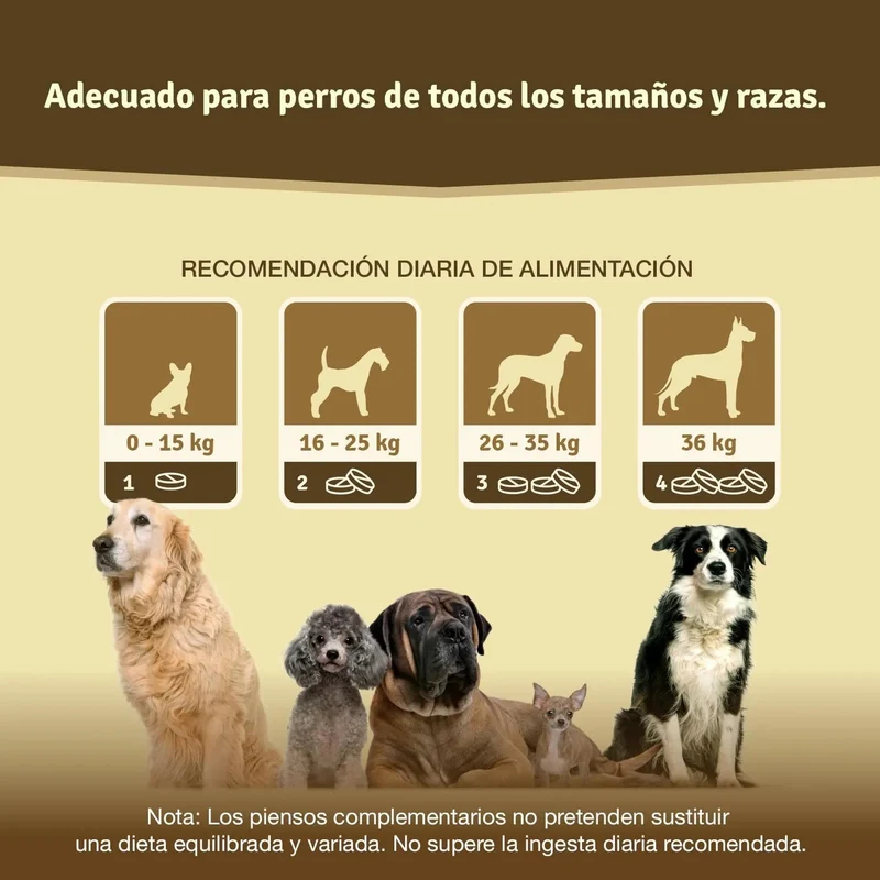Comprimido condroprotetor para as articulações de cães com MSM, harpagófito, glucosamina, colagénio para fortalecer os ossos (125 cápsulas com hialurão e ômega3)