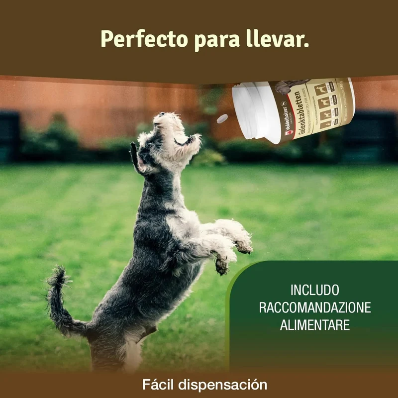 Comprimido condroprotetor para as articulações de cães com MSM, harpagófito, glucosamina, colagénio para fortalecer os ossos (125 cápsulas com hialurão e ômega3)