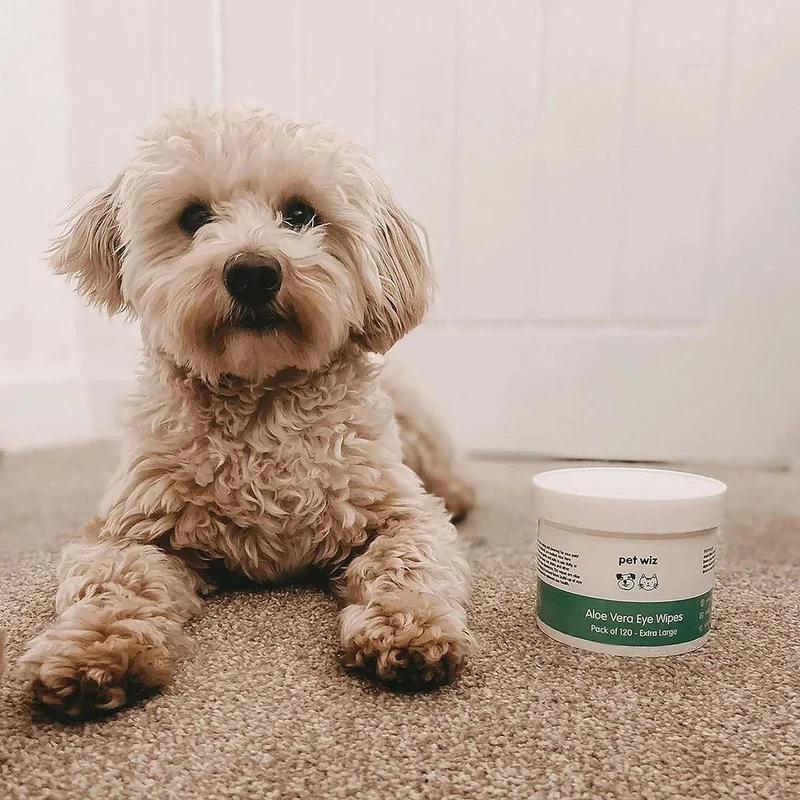 Toalhetes de olhos com aloé vera para limpar cães e gatos, extra grandes
