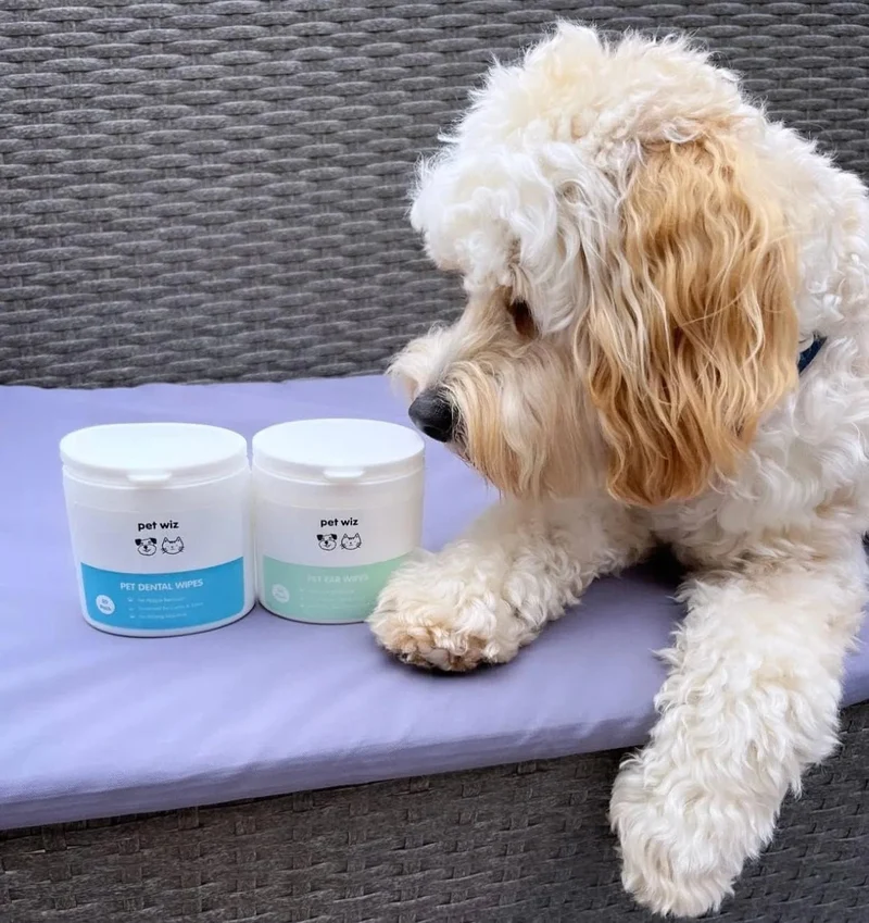 Toalhetes para os ouvidos de cães e gatos. Limpam, acalmam e desodorizam com ingredientes ativos naturais, aloé vera, hamamelis, óleo da árvore do chá e extrato de camomila azul