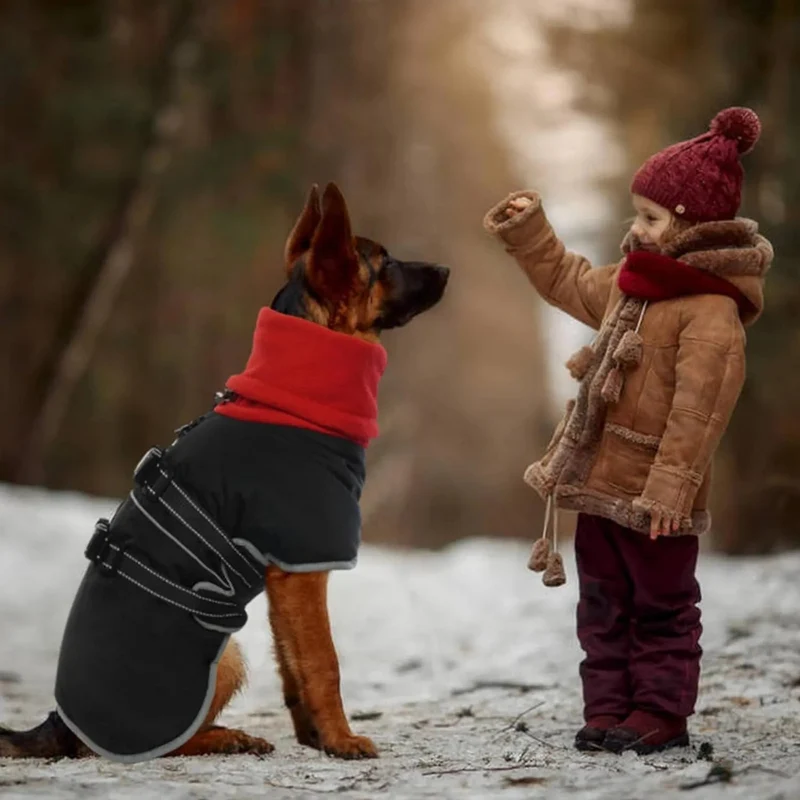 Casaco para cães, casaco impermeável de outono/inverno, com tiras refletoras, cintura ajustável, quente e confortável