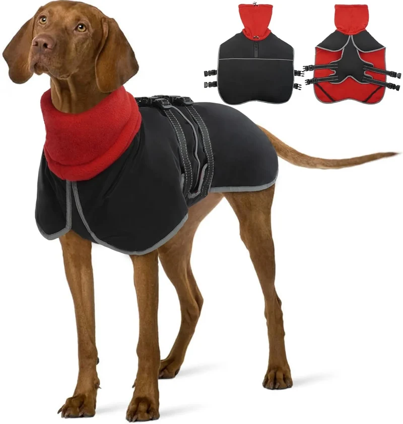 Casaco para cães, casaco impermeável de outono/inverno, com tiras refletoras, cintura ajustável, quente e confortável